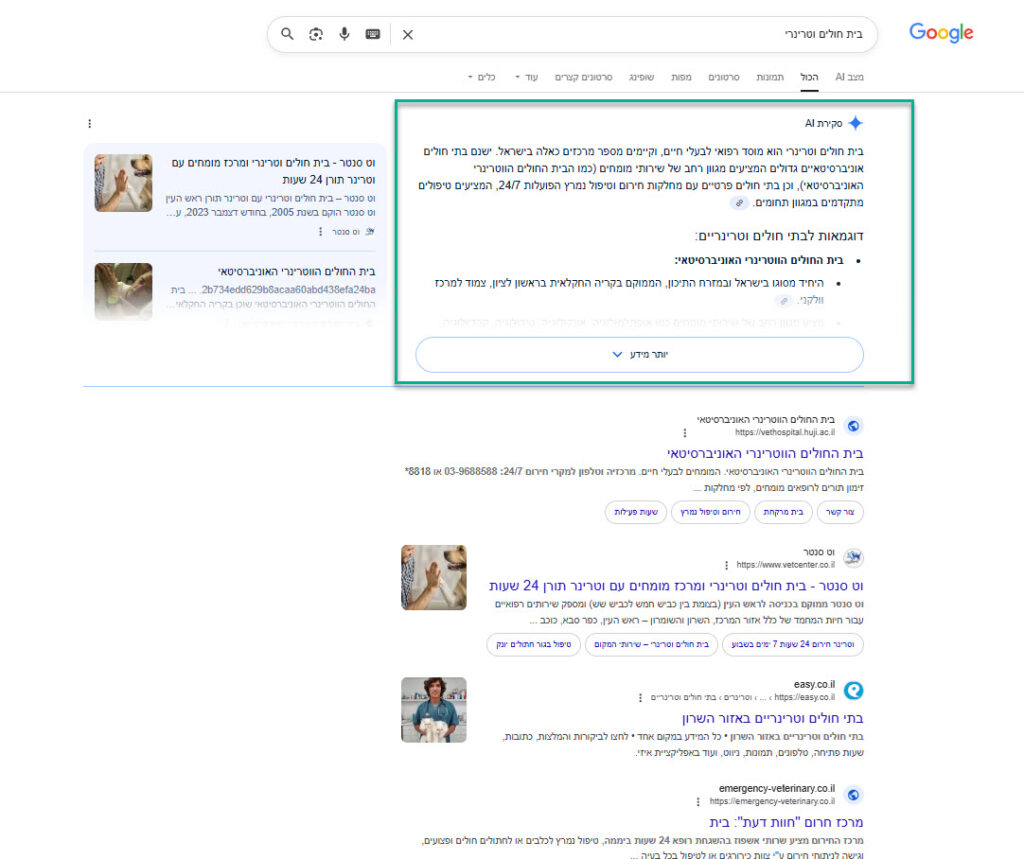 חיפוש בגוגל עם תשובת AI