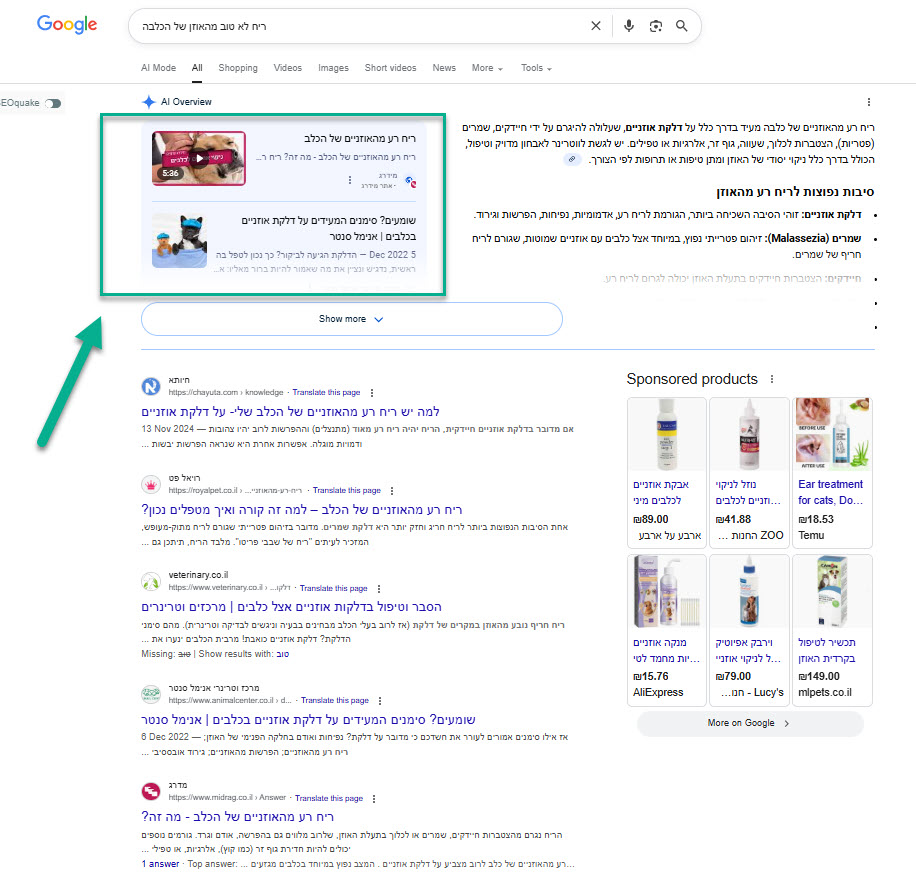 חיפוש בגוגל עם תשובות AI