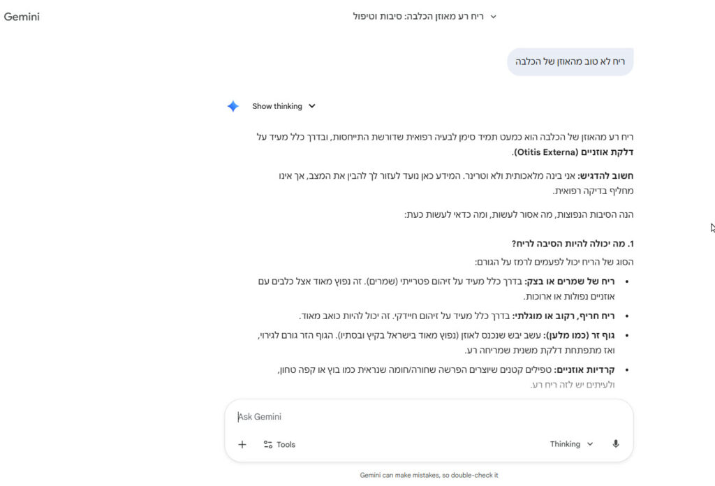 חיפוש של שאלה בAI ג'מיני