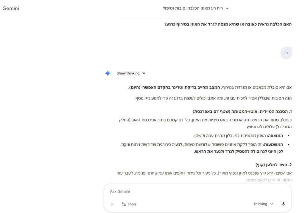 תשובות המשך של Gemini