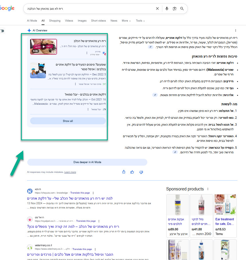 תשובה רחבה מAI על חיפוש גוגל